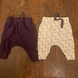 2 Pairs of Nui Organics Baby Pants Size 3-6 Months
